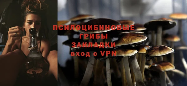 ALPHA PVP Арсеньев