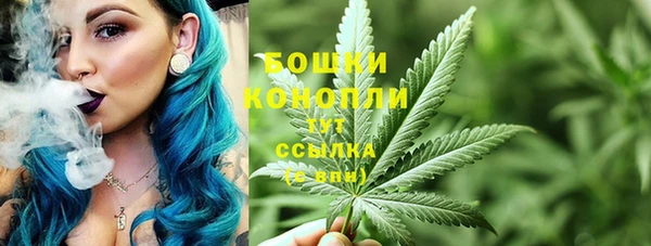 ГАЛЛЮЦИНОГЕННЫЕ ГРИБЫ Армянск